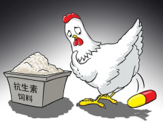 食品抗生素層出不窮，如何檢測(cè)？